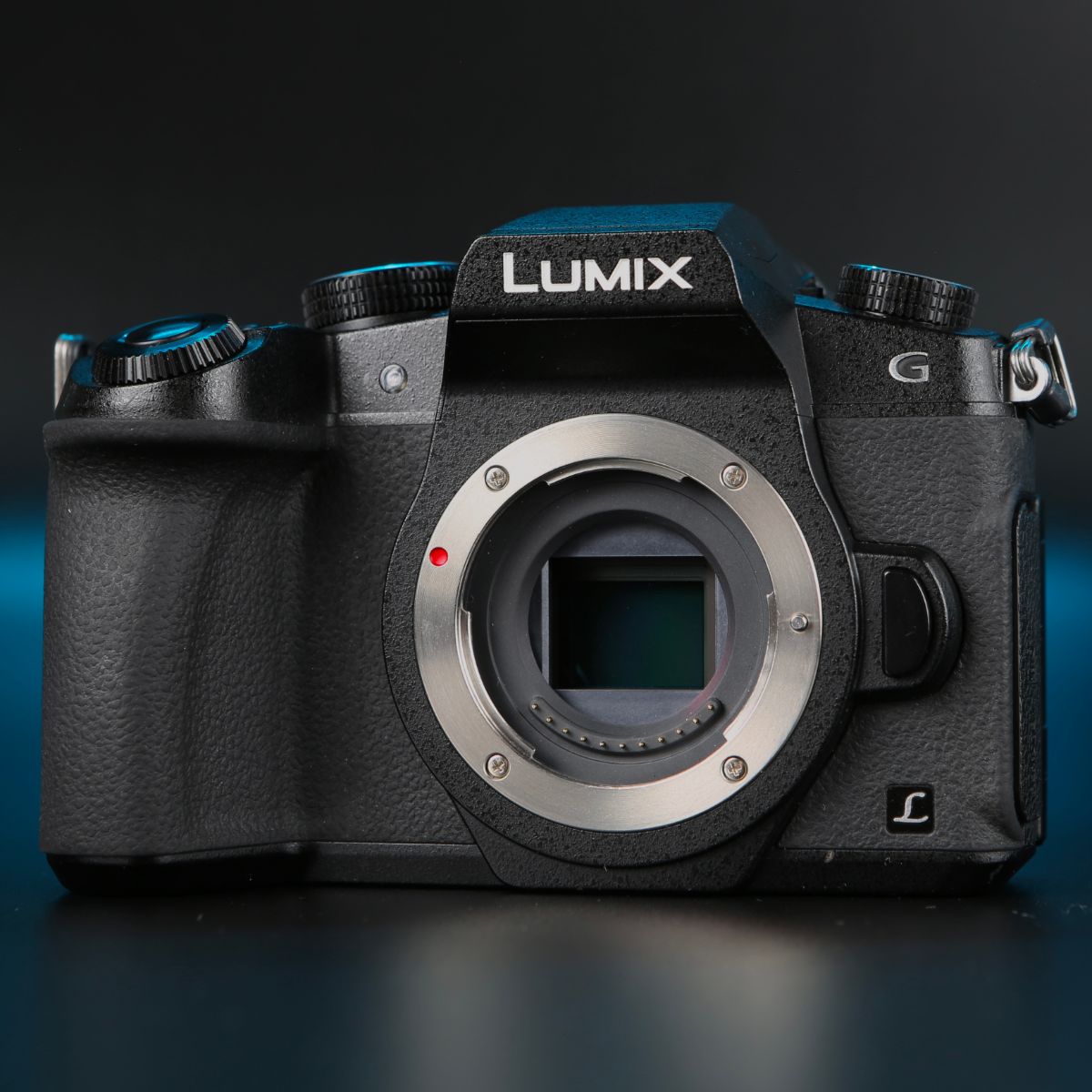 Panasonic Lumix G80 — фото 8